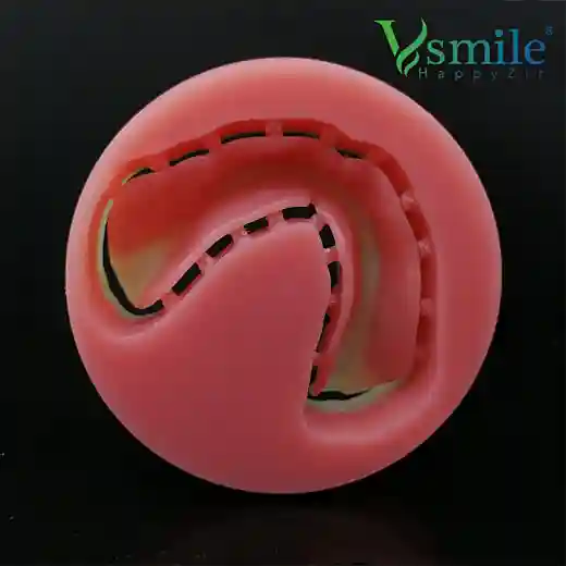 Full Denture PMMA Block