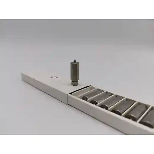 abutment teeth