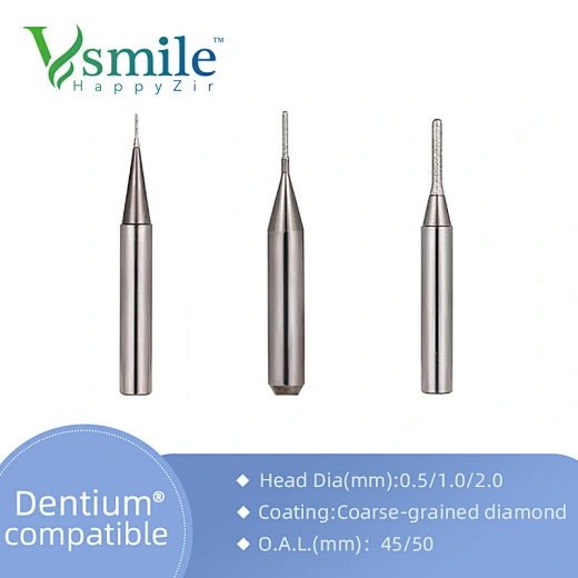 burs dental
