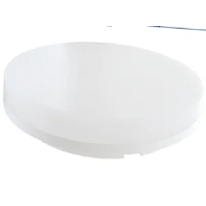 ceiling light