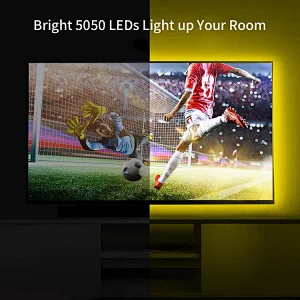 New Technology Flip Chip High Density Warm White IP65 Silicone Waterproof DC12V Flexible LED strip light