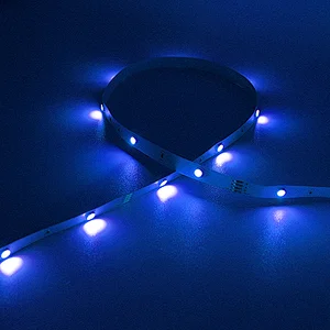 2021 Smart WiFi Voice Controller APP Flexible SMD 5050RGB Colorful Led Strip Light