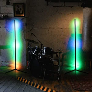 Modern Nordic floor Lamp standing black White Body Remote control LED Rgb corner floor light for living room