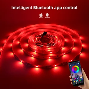 DC 12V 5050RGB 18Led/m Colorful Soft Light Strip BT Music Controller For Living Room Atmosphere Led Strip Light