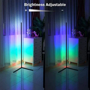 Modern Nordic floor Lamp standing black White Body Remote control LED Rgb corner floor light for living room