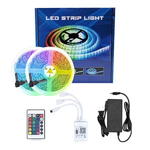 12V 60LEDs/m Remote Control SMD 5050RGB Digital Smart Remote Control Wifi Voice Waterpoof RGB Flexible Led Strip Lights