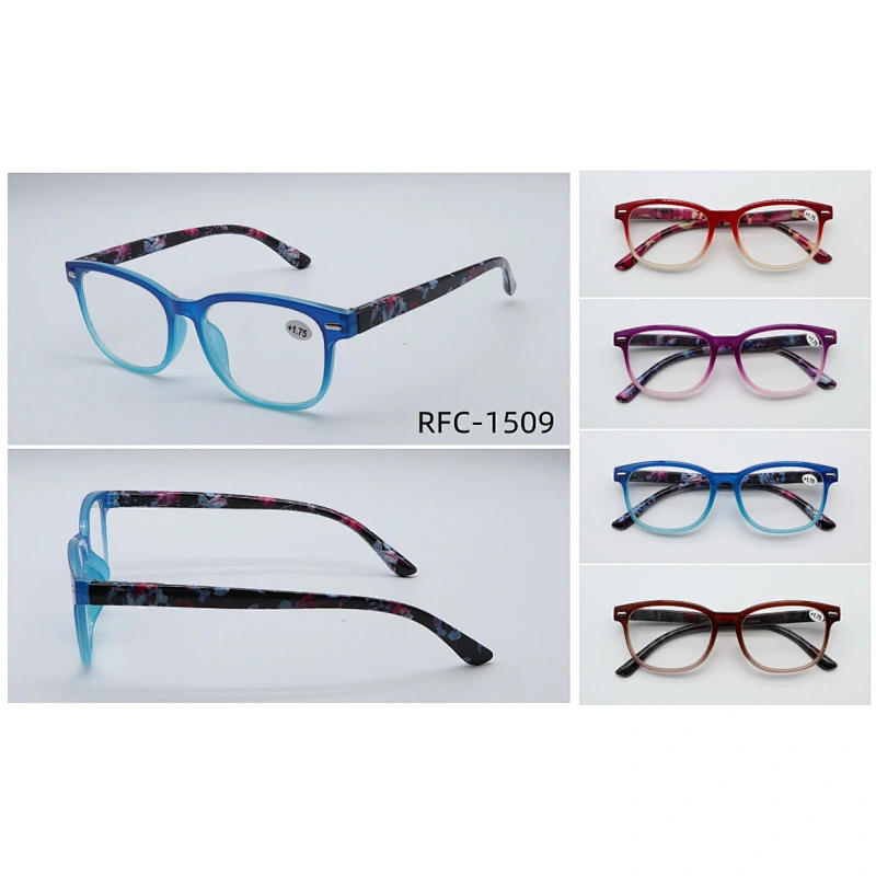 RFC-1509