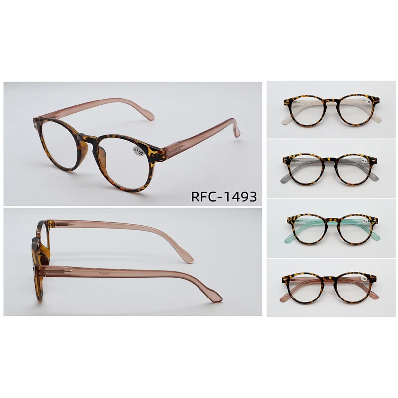 RFC-1493