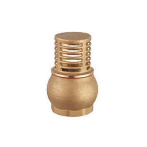 Check valve