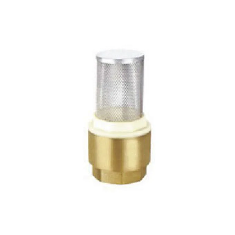 Check valve
