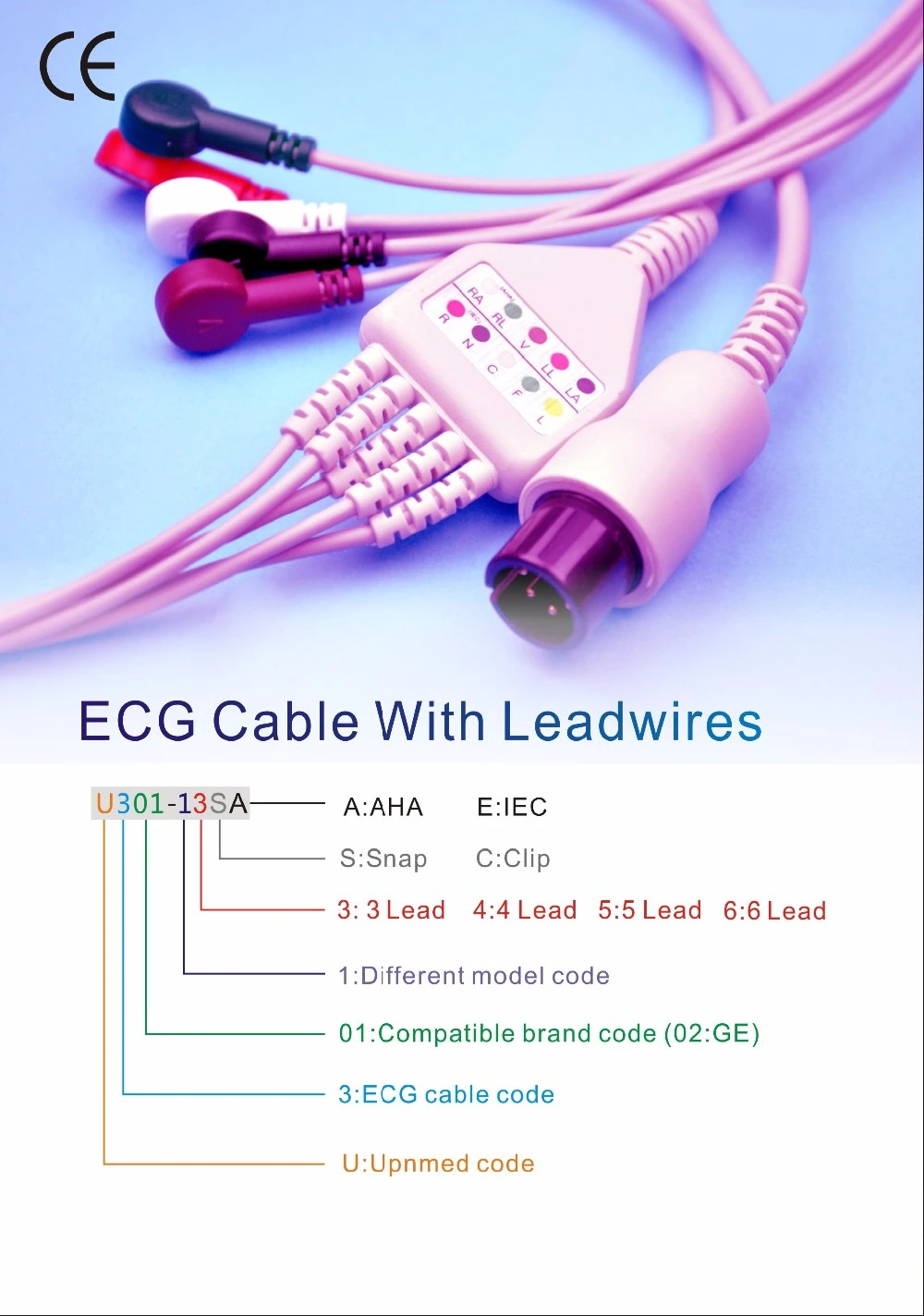 ECG1.jpg