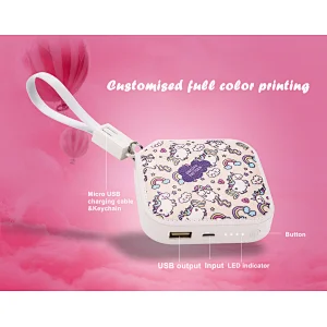 Powerbank