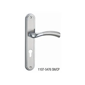 1107-5476 SN/CP