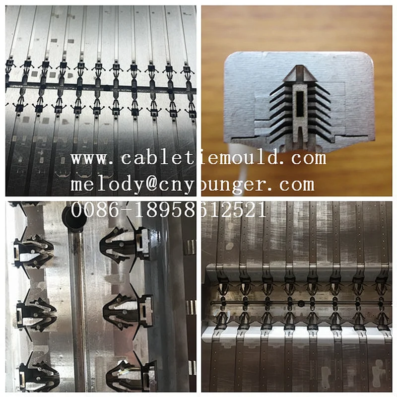 Cable Ties Injection Mould / Cable Tie Injection Mould Zhejiang Huangyan Younger Mould Factory