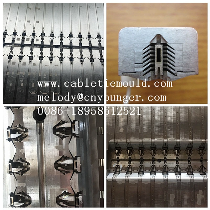 Cable Ties Injection Mould / Cable Tie Injection Mould from China