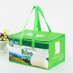 Portable Double Handles Customized  Thermal Insulated Freezer Lunch Custom Non Woven Cooler Bag