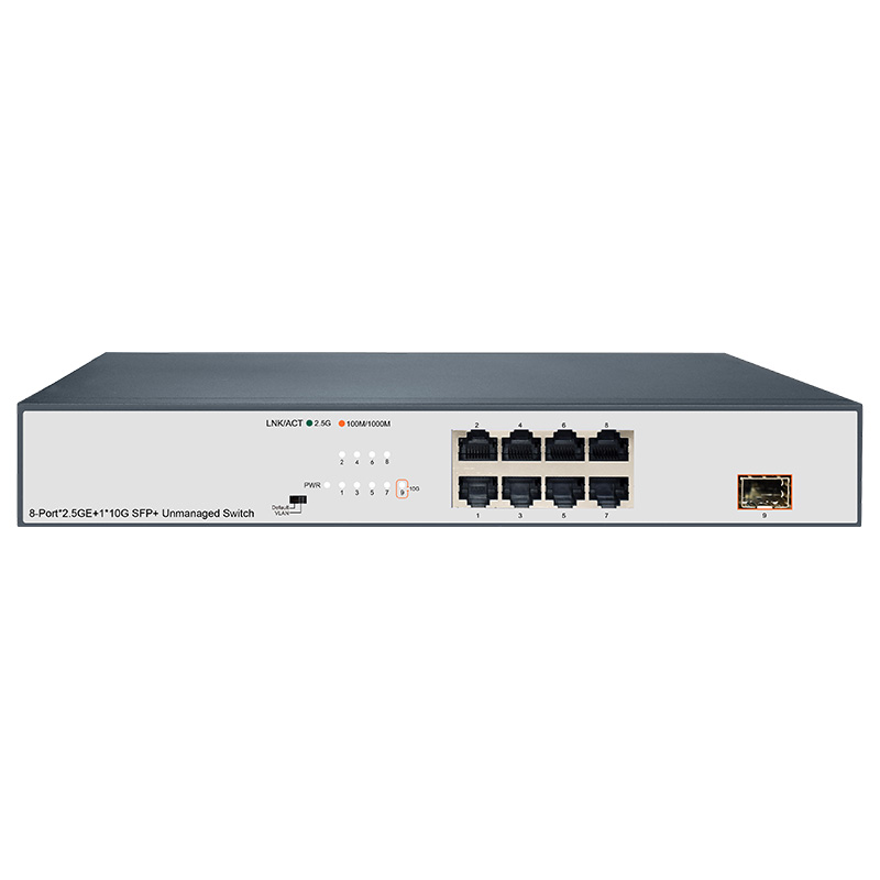 Unmanaged Switch