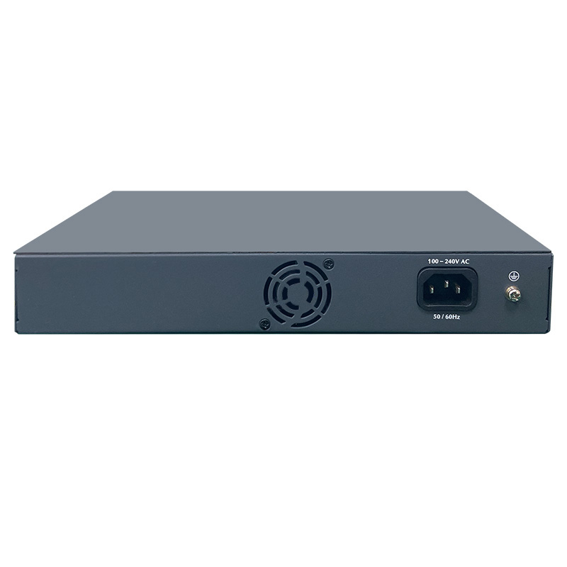 Unmanaged Switch