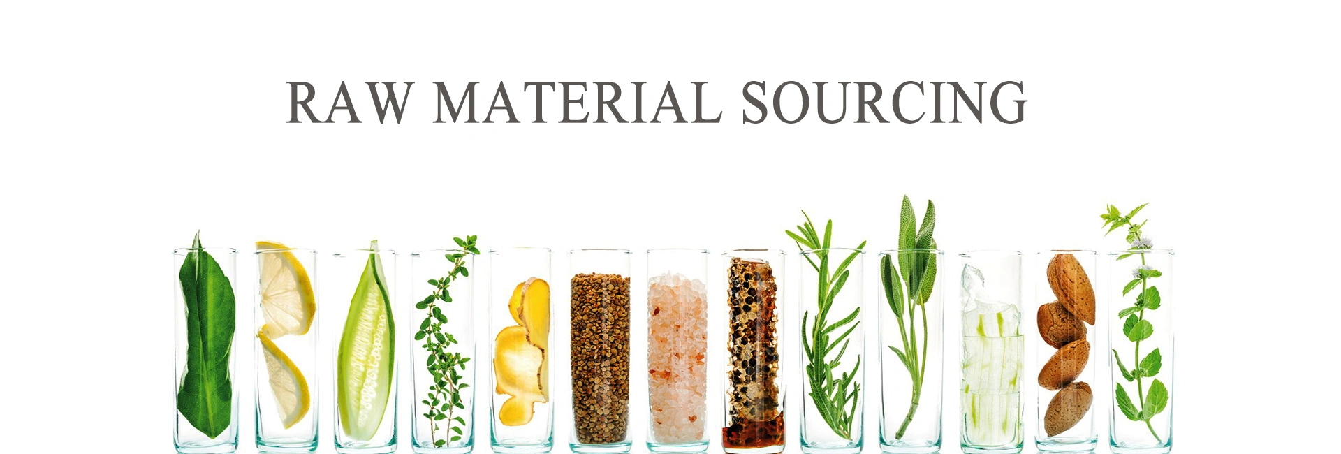 Food Additives Ingredients Sourcing Nutrifirst Biotech Inc.