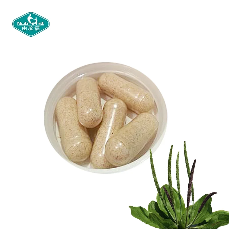 Slimming Natural Herbal Psyllium Husk Capsule