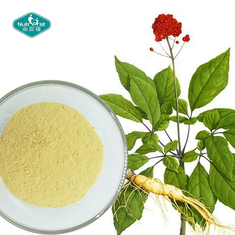 Best Nutritional Supplements Chinese Herb Ginseng Root Extract for Health