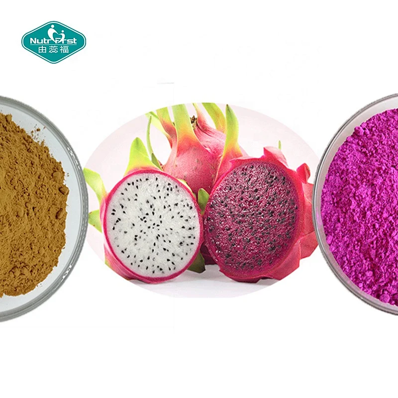 Organic Dragon Fruit Powder Freeze Dried Pitaya Powder