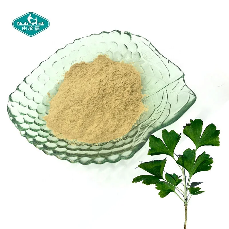 Bulk Extract Ginkgo Biloba Leaf Extract Promote Concentration for Benefitting Qi Blood