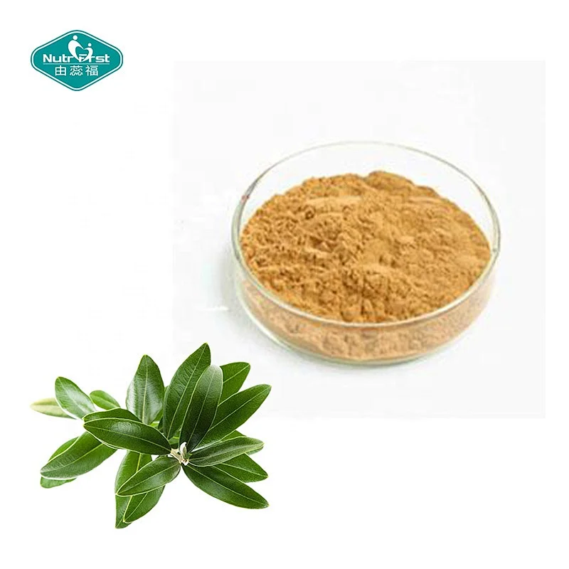 Herbal Supplements Competitive Price High Quality Organic Natural Olive Leaf Extract Powder For Immune System