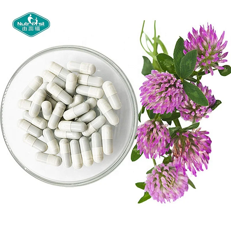 Cápsulas de extracto de trébol rojo Trifolium Pratense OEM