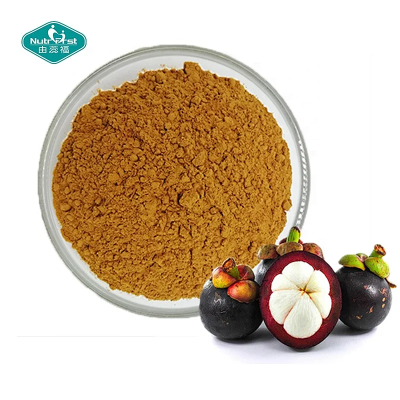 Hot sale Best Quality Organic Mangosteen Fruit Powder