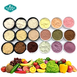 Private Label Fruits Variety Pack For Workout Sweating Illness & Travel Recovery Electrolyte Powder For Dehydration Relief Fast