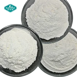 Private Label Creatine Beta Alanine with Vitamin D Provide Immune Support Energy Powder
