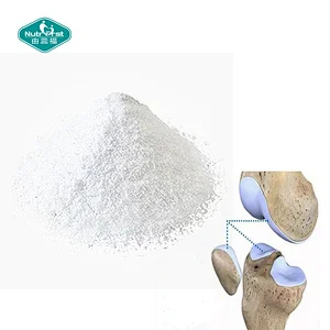 Joint Health Supplements Raw Material Halal D-Glucosamine Hydrochloride HCL Powder Free Sample In Bulk