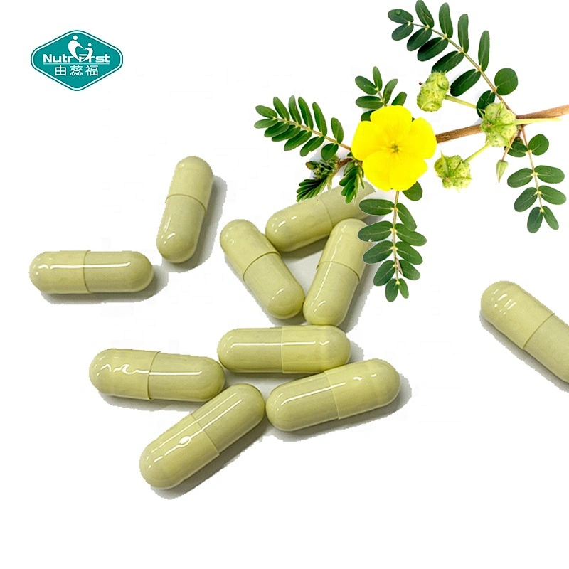 Nutrifirst Custom Customization Herbal Energy Booster Supplements Tribulus Terrestris Extract Capsule for Adult