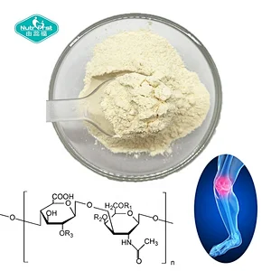 Nutrifirst Pharmaceutical Grade Halal Chondroitin 85%~95% Bulk Chondroitin Sulfate Sodium Powder Cas No.9082-07-9