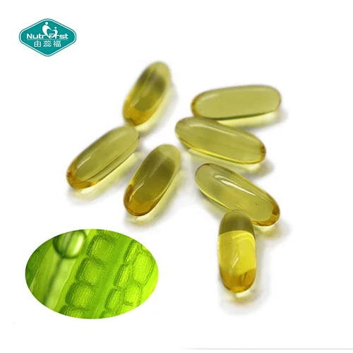 Nutrifirst promueve suplementos cerebrales EPA DHA a granel 500 mg 1000 mg Omega 3 aceite de algas cápsulas veganas cápsulas blandas