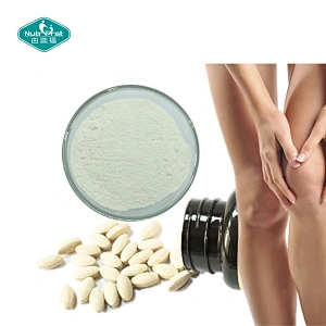 Nutrifirst Factory Supply Bulk Raw Material Supplements Chondroitin Sulfate Sodium CAS No.9082-07-9 Powder