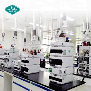 Nutrifirst Contract Customization White Red Printed Empty Gelatin Separated Capsules Shell GMP with All Size