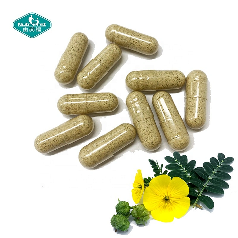 Nutrifirst Custom Customization Herbal Energy Booster Supplements Tribulus Terrestris Extract Capsule for Adult