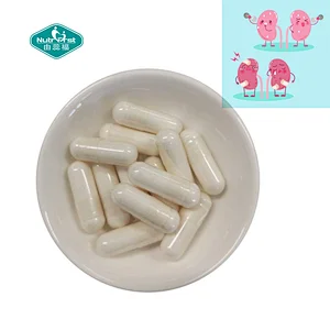 Nutrifirst Customize Formula OEM Niacin Complex Probiotic Kidney Cleanse Health Supplements Capsule Probiotics