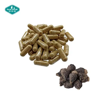 Nutrifirst Good Performance Workout Enhancer L-Arginine Maca Root Extract Capsules Women Capsule Customization