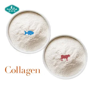 Beauty Products Raw Material Hydrolyzed Fish Collagen Supplements Peptide Marine Collagen Powder in Bulk