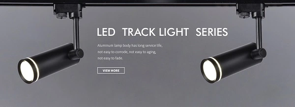 LED TRACK LIGHT SERIES