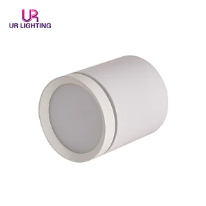 European minimalist style black white surface mounted ceiling 5w round LED downlights