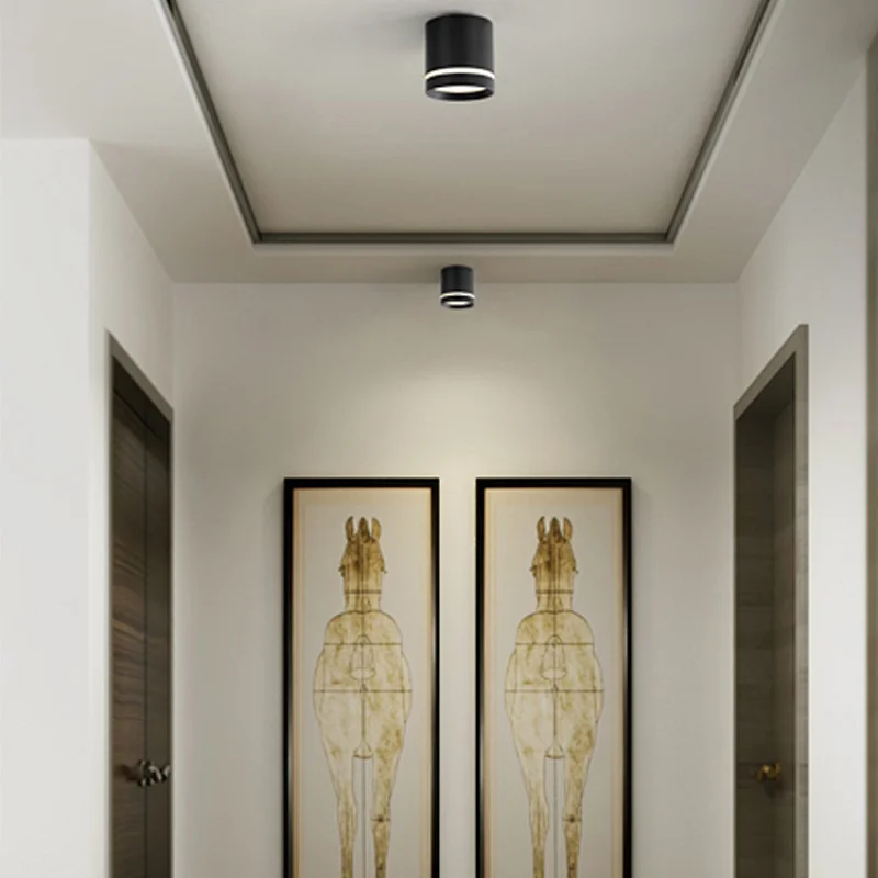 European minimalist style black white surface mounted ceiling 5w round LED downlights