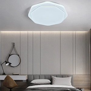 Factory direct OEM bedroom balcony living room indoor modern 2.4G dimmable round led ceiling light