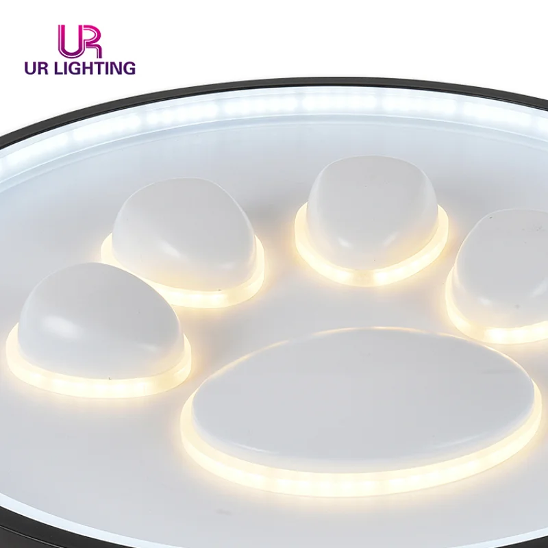 Modern simple indoor fixture living room bedroom study room LED ceiling light