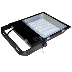High-intensity Light Lens type Hot Sell Flood IP65 LED Light LED Lamp Waterproof