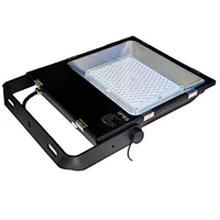 High-intensity Light Lens type Hot Sell Flood IP65 LED Light LED Lamp Waterproof