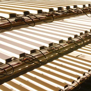 60W 5FT 150CM LED Linear Lighting with Lens